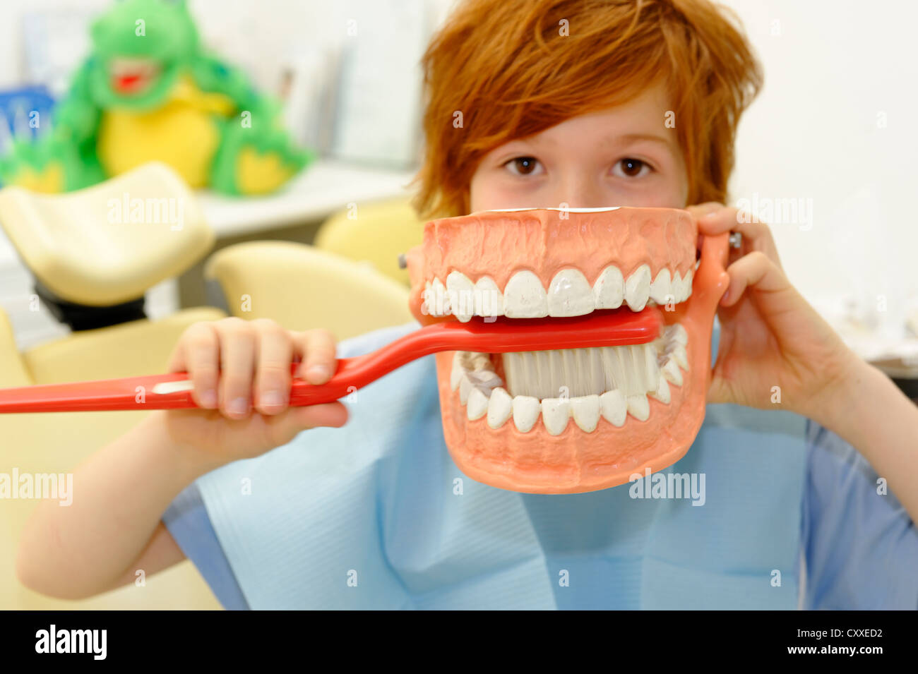 Niño en el dentista, recibir instrucciones para el cuidado dental en un modelo, higiene dental, cuidado dental, visita dental Foto de stock