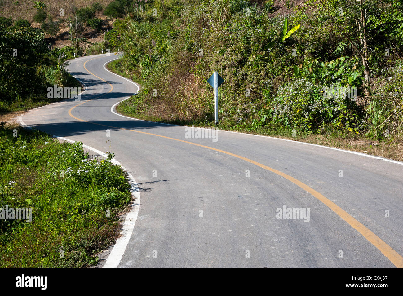 Sinuoso camino asfaltado, al norte de Tailandia, Tailandia, Asia Foto de stock