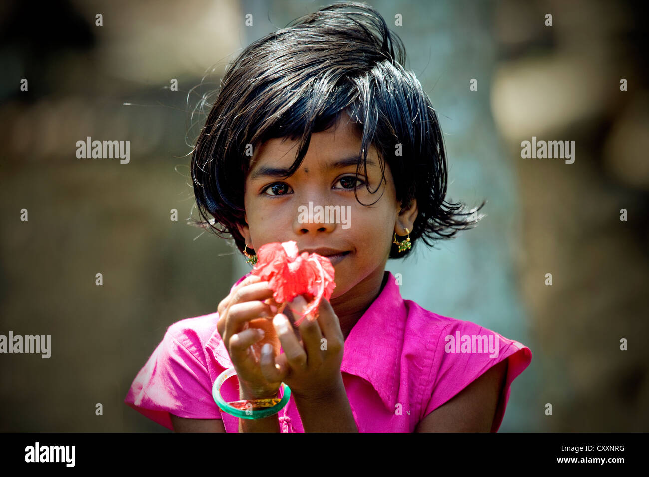 Alleppey cabrito en Kerala sosteniendo una flor en sus manos, India Foto de stock