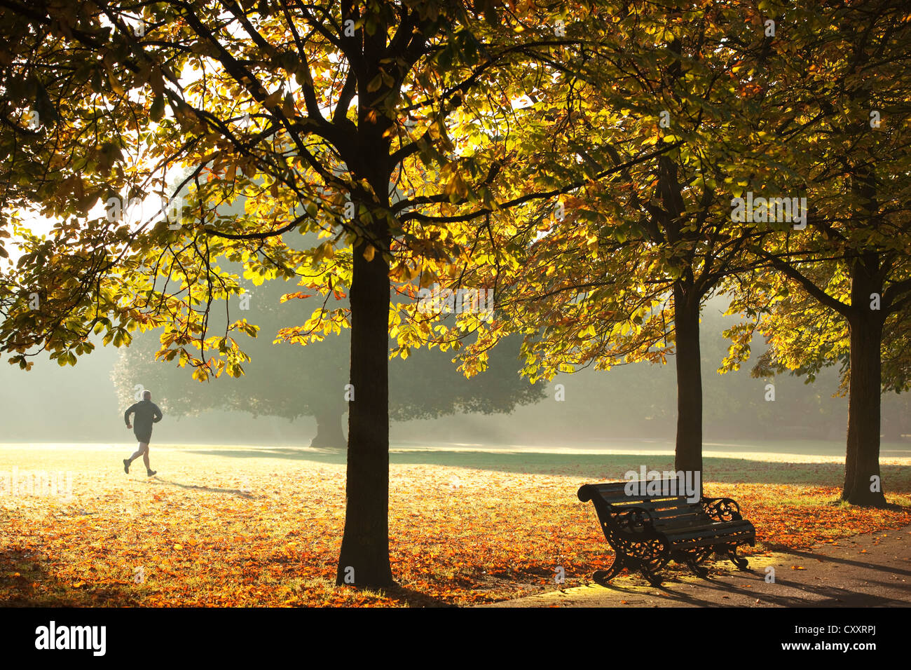 Los colores de otoño, el parque Greenwich, al sureste de Londres, Inglaterra, Reino Unido. El 14 de octubre de 2012. Foto de stock