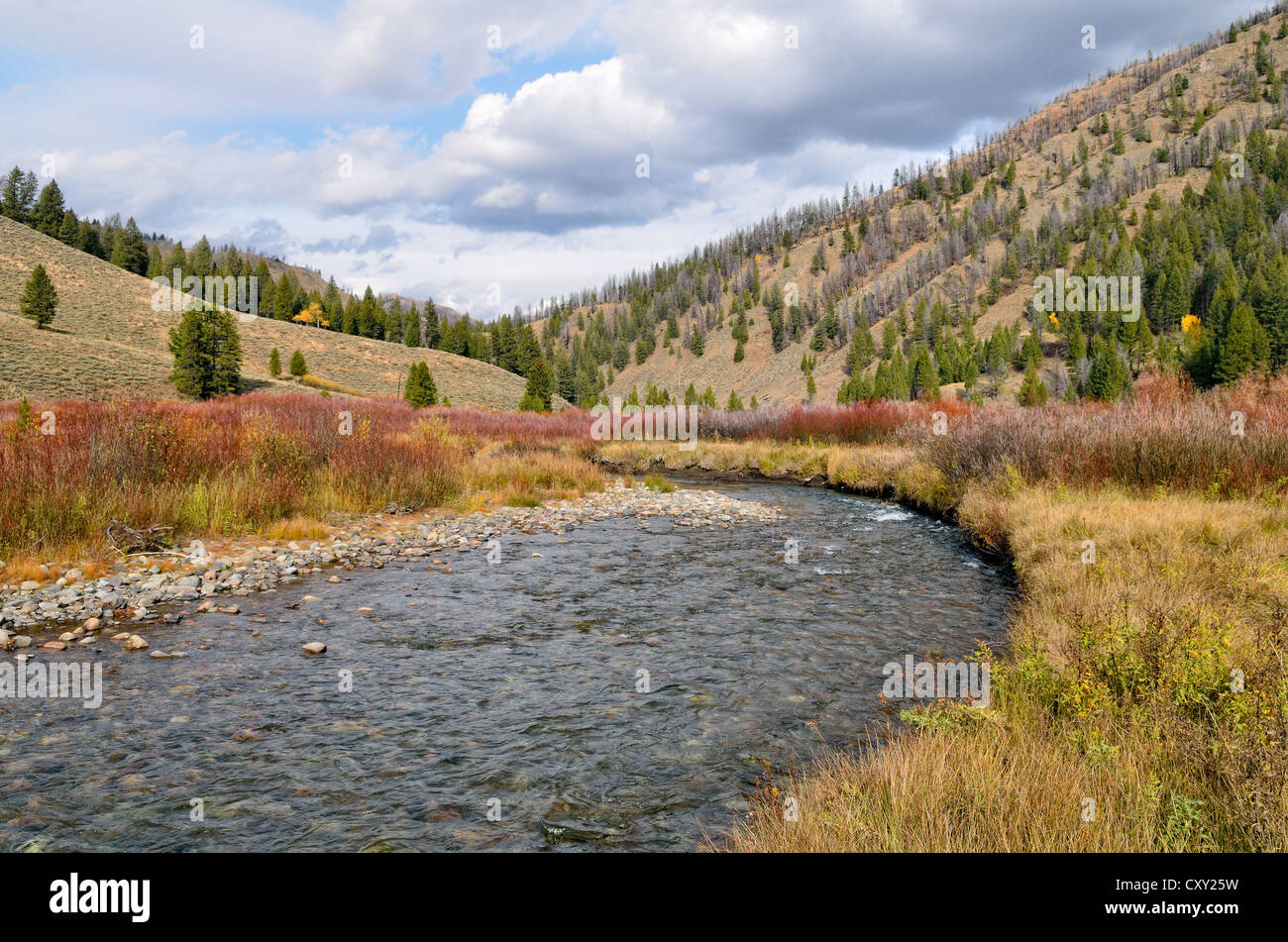 Warm Springs Creek, downstream, Ketchum, Idaho, EE.UU. Foto de stock