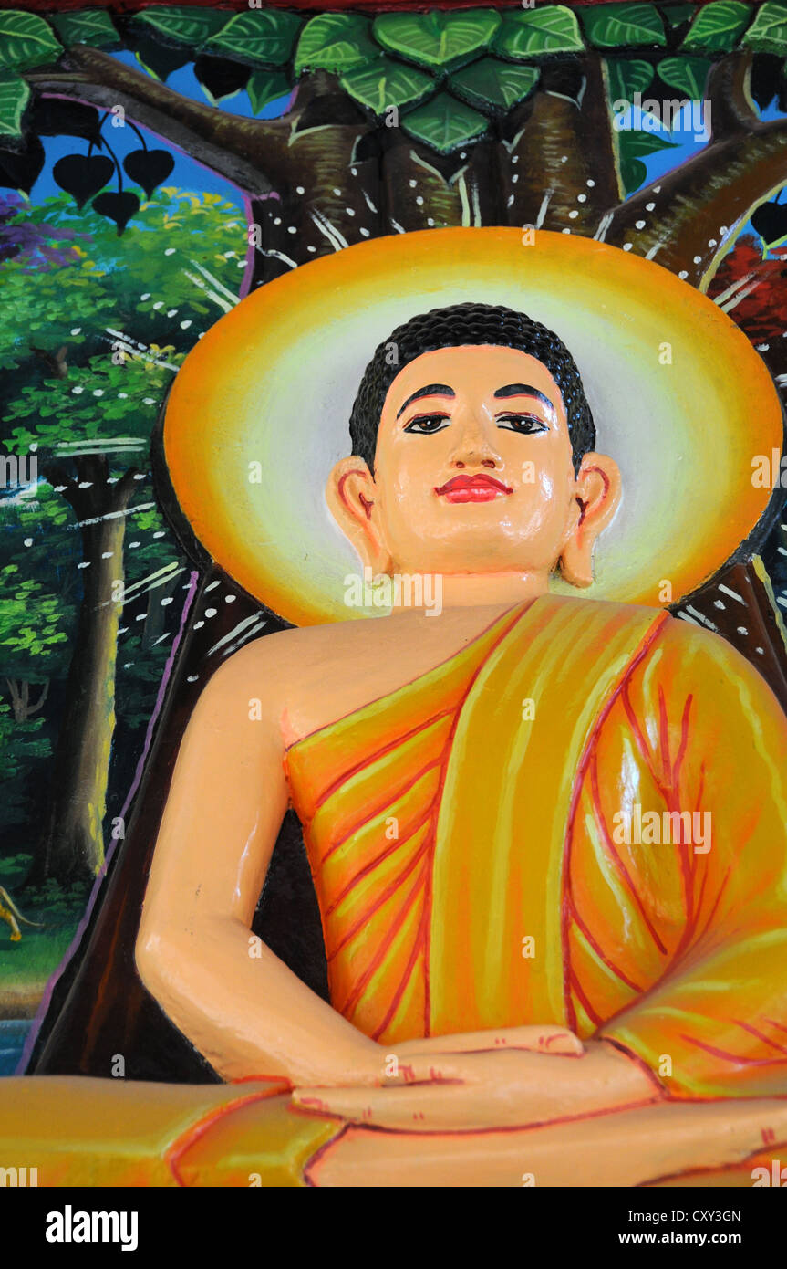 Imagen de Buda sentado bajo el árbol de Bodhi, Siem Reap, Camboya, Asia Foto de stock