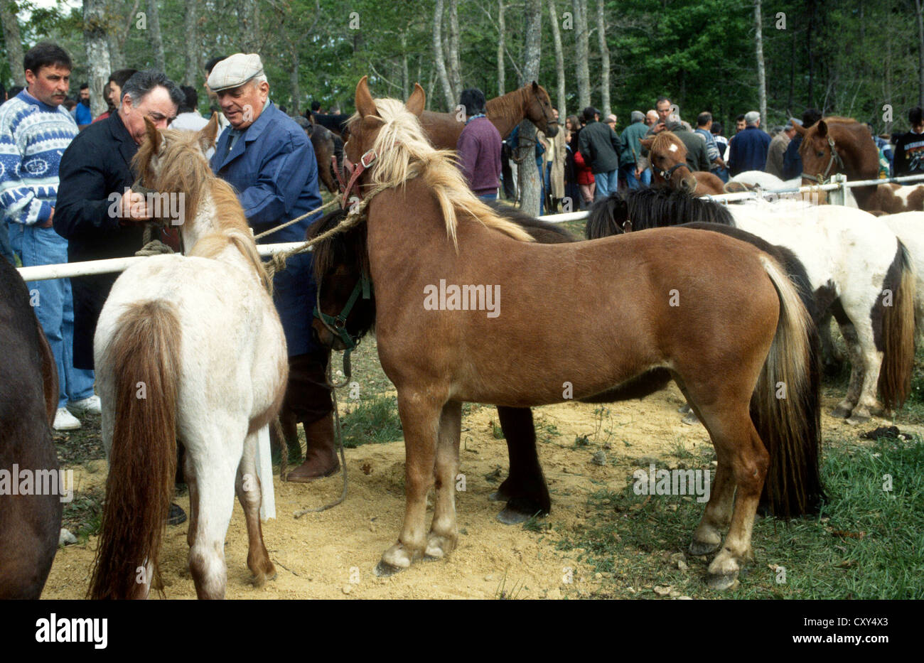 Francia - comercio de caballos en una feria país región de LOT Foto de stock