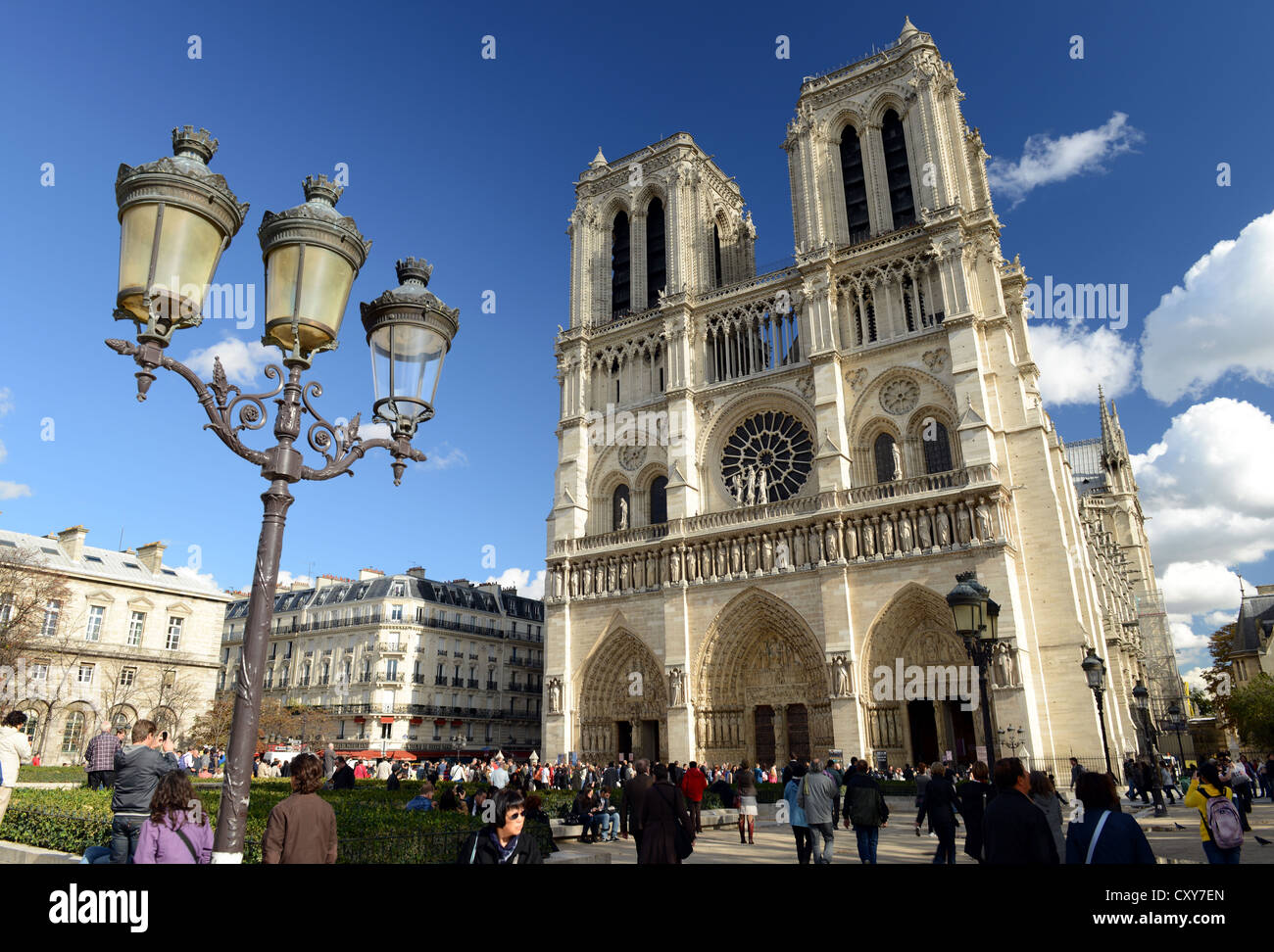 La Catedral de Notre Dame, la catedral de Notre Dame de París, Francia Foto de stock