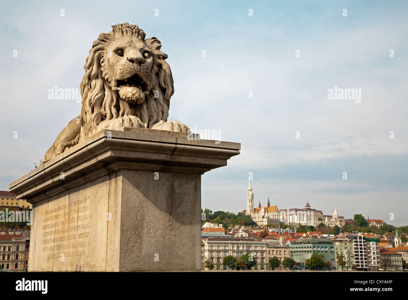Budapest - estatua de león desde el puente de la cadena Foto de stock