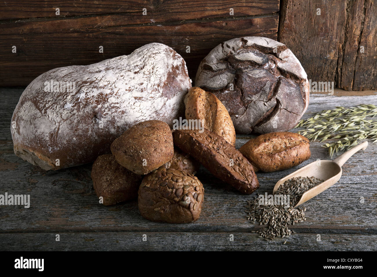 Hogazas de pan, bollos con granos de centeno y mazorcas de maíz sobre una superficie de madera rústica Foto de stock