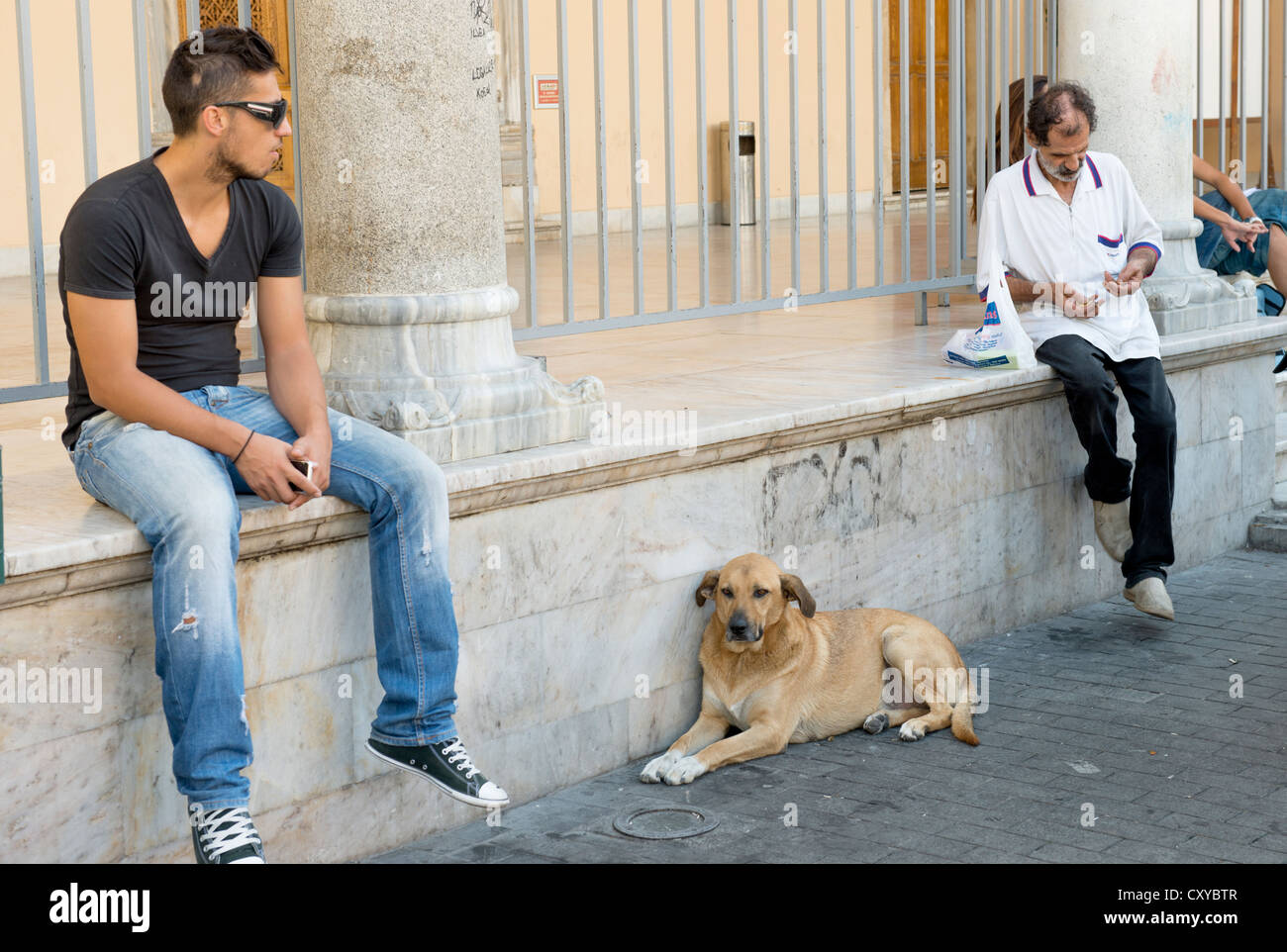 Perro vagabundo en Heraclion, Grete,Grecia. Tomada en octubre de 2012. Foto de stock