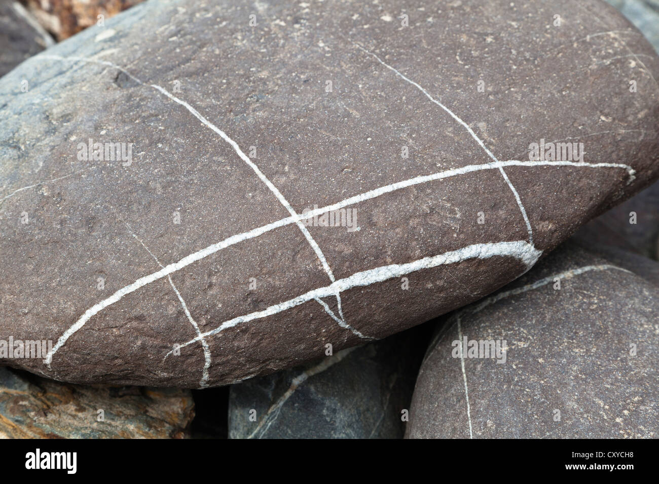 Roca con vetas de cuarzo, costa Atlántica, Portugal, Europa Foto de stock