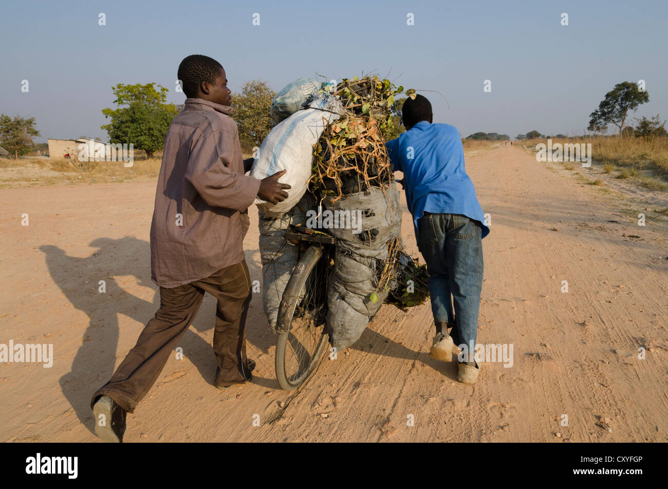 Dos agricultores transportar el carbón de leña en una bicicleta. Kabwe. Zambia. Foto de stock