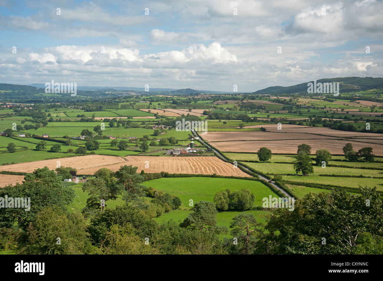 El paisaje rural y la campiña de Gales en Montgomery Powys. Ocs 8689 Foto de stock