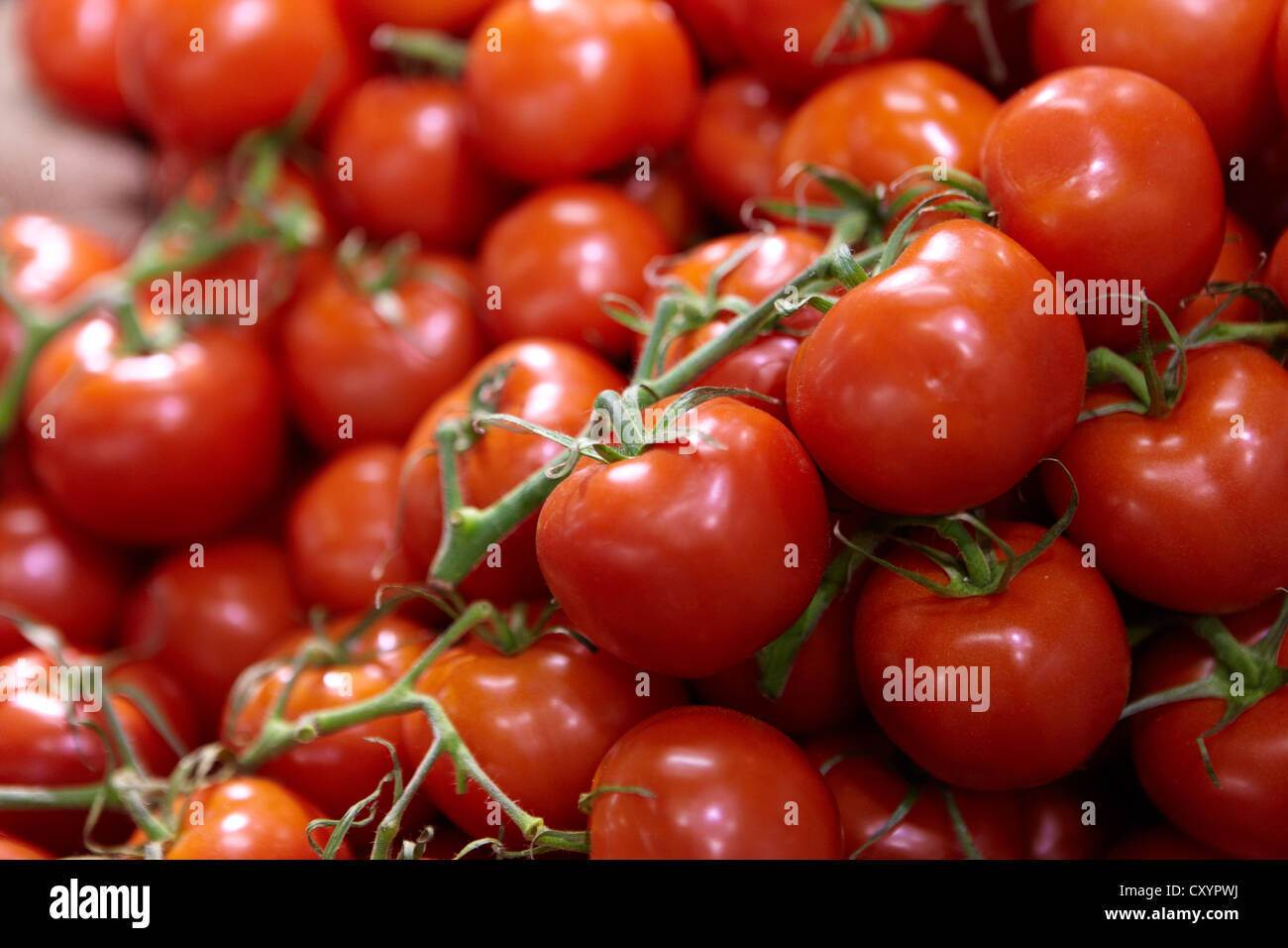 Los alimentos orgánicos tomates calada Foto de stock