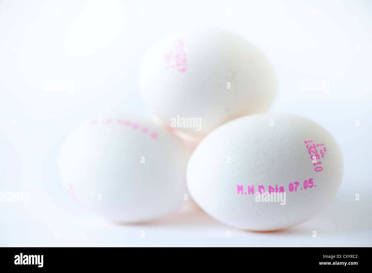 4 huevos de gallina blanca con fecha de caducidad impresa Foto de stock