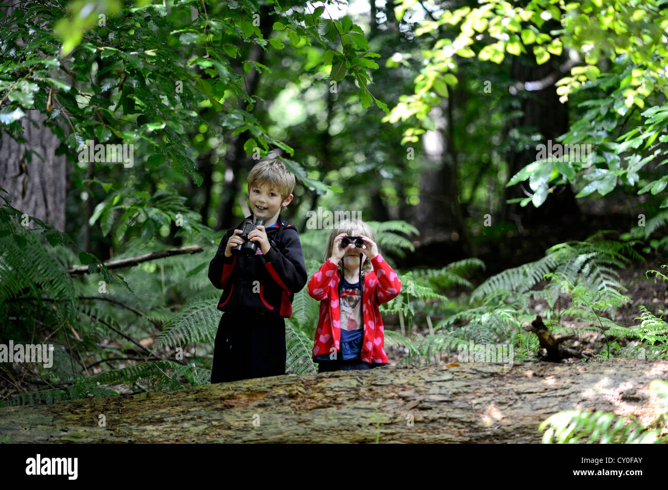 Chico y chica (hermano y hermana) observación de aves en bosques en verano modelo Norfolk liberado Foto de stock