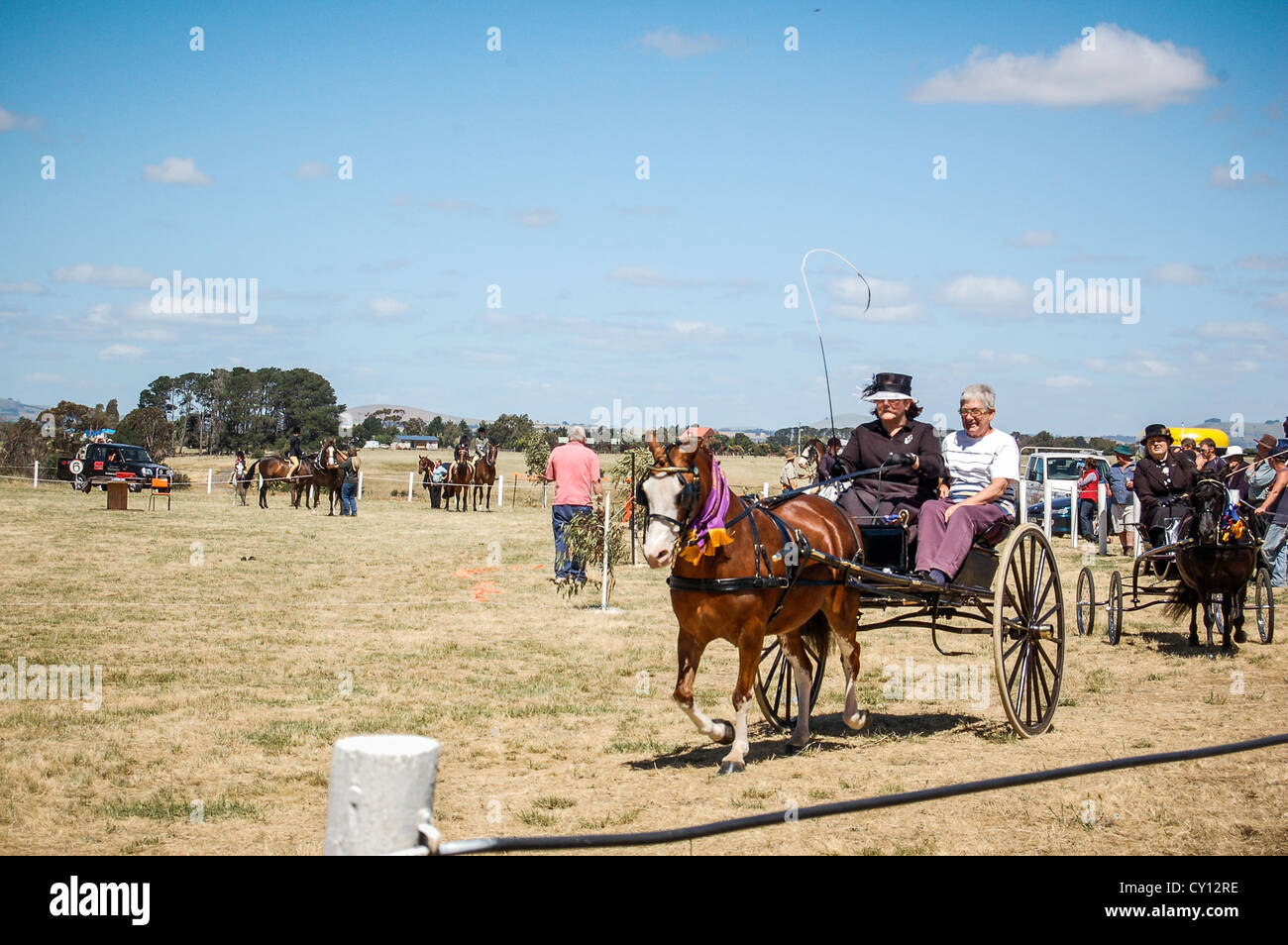 Caballos y carros en competición anual muestran Clunes en ciudad rural del país Clunes, Victoria, Australia. Foto de stock
