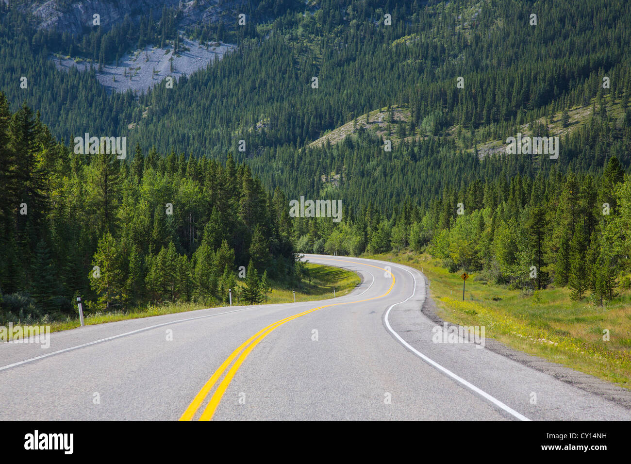 La ruta 40, conocida también como Kananaskis Trail parte de la autopista Bighorn en Alberta, Canadá Foto de stock