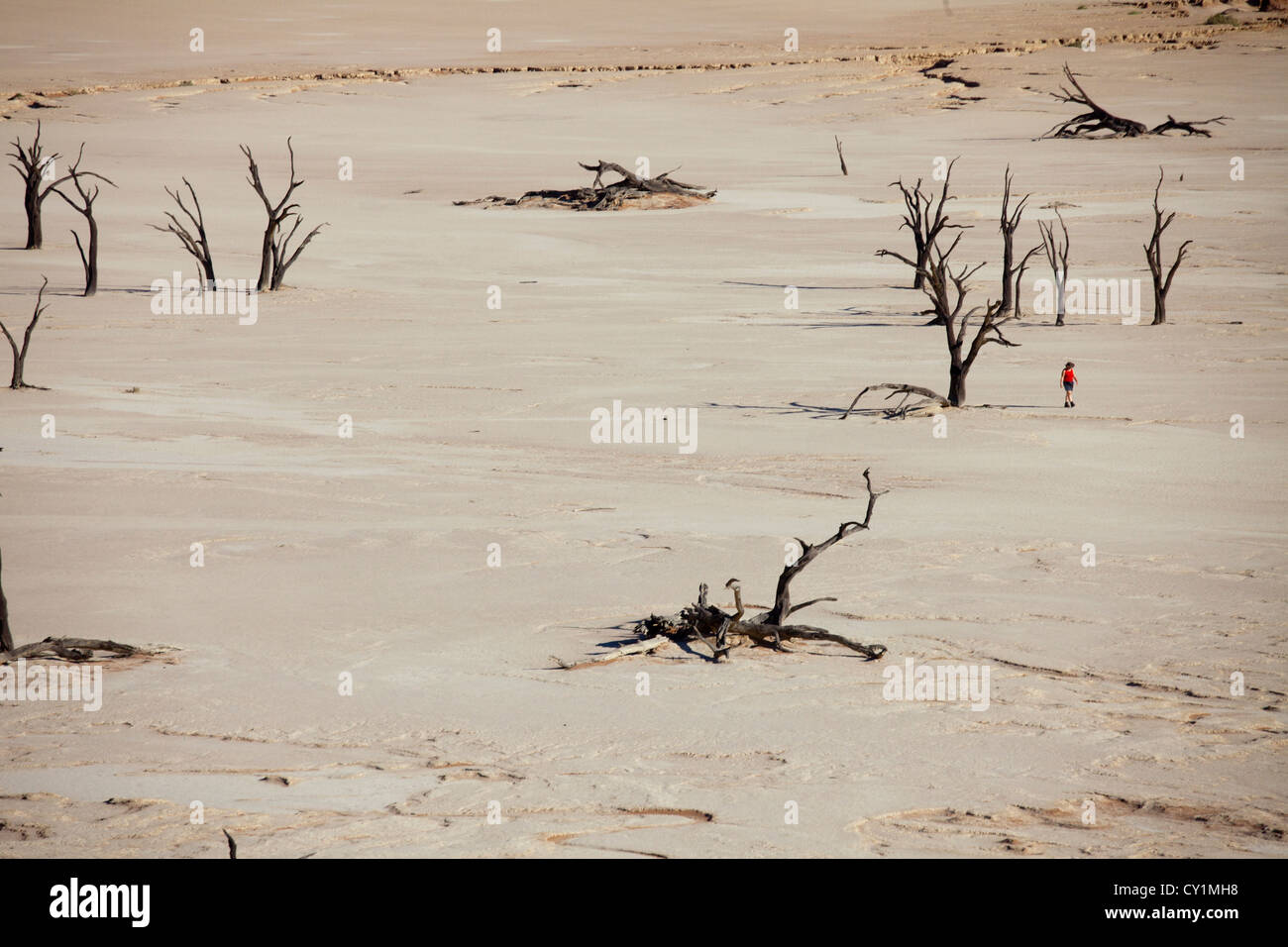 Sossusvlei (valle de la muerte) en el Parque Namib-Naukluft, Namibia Foto de stock
