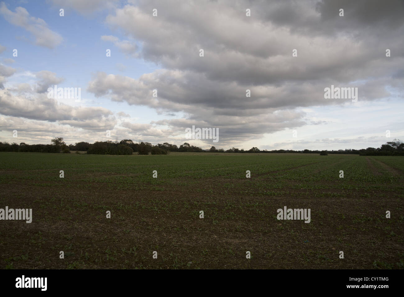 La formación de nubes sobre la tierra agrícola en Sussex Foto de stock