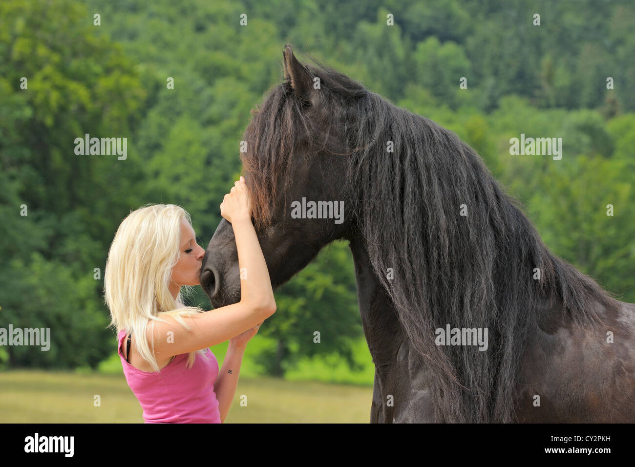Joven y su caballo frisón Foto de stock