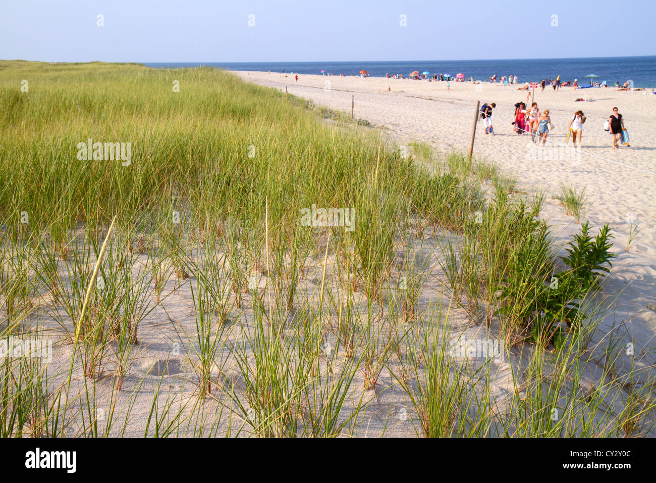 Cape Cod Massachusetts,Nauset Beach,Cape Cod National Seashore,duna,césped,bañistas,arena,Océano Atlántico,agua,MA120817149 Foto de stock