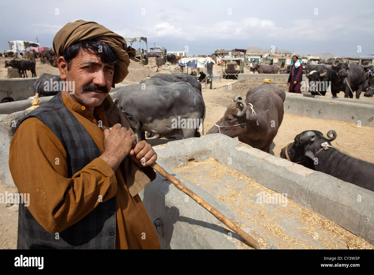 Mercado del ganado en Kabul, Afganistán Foto de stock