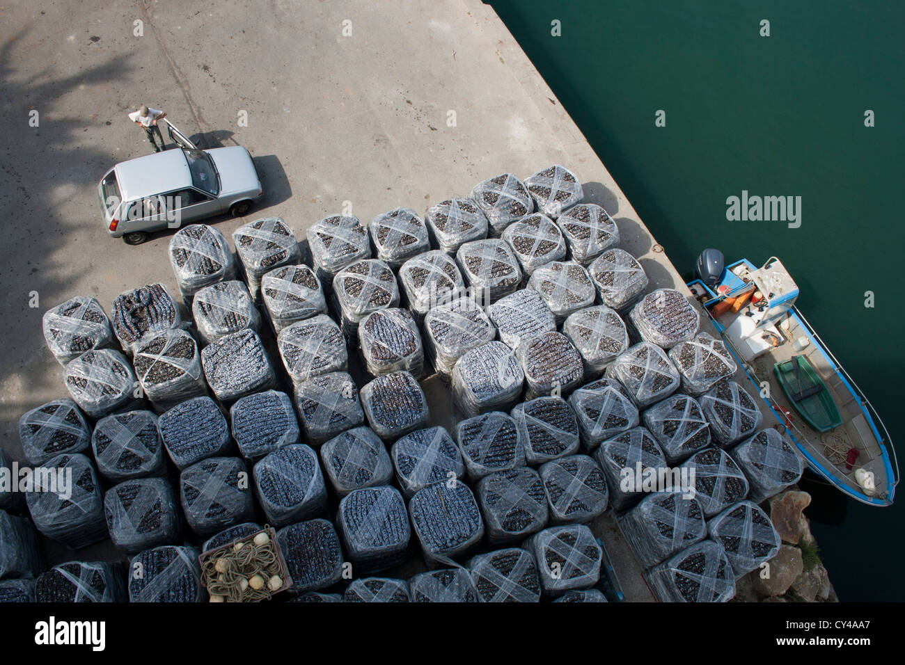 Cargas de ostras en espera de transporte, La Trinite sur Mer, Morbihan, Bretaña Francia Foto de stock