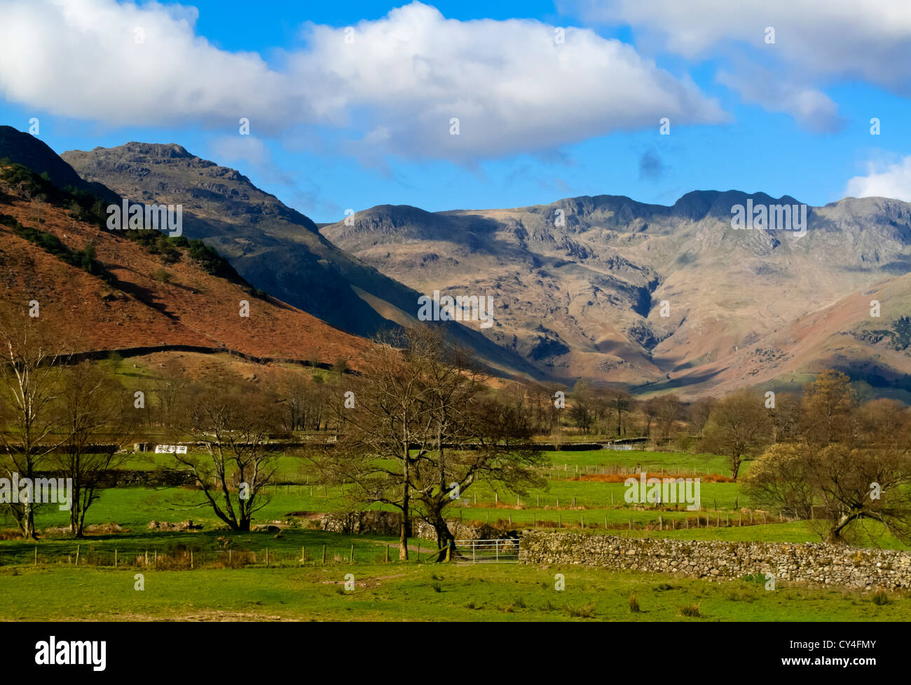 El paisaje de montaña en gran Langdale en el Lake District National Park Cumbria Inglaterra Foto de stock