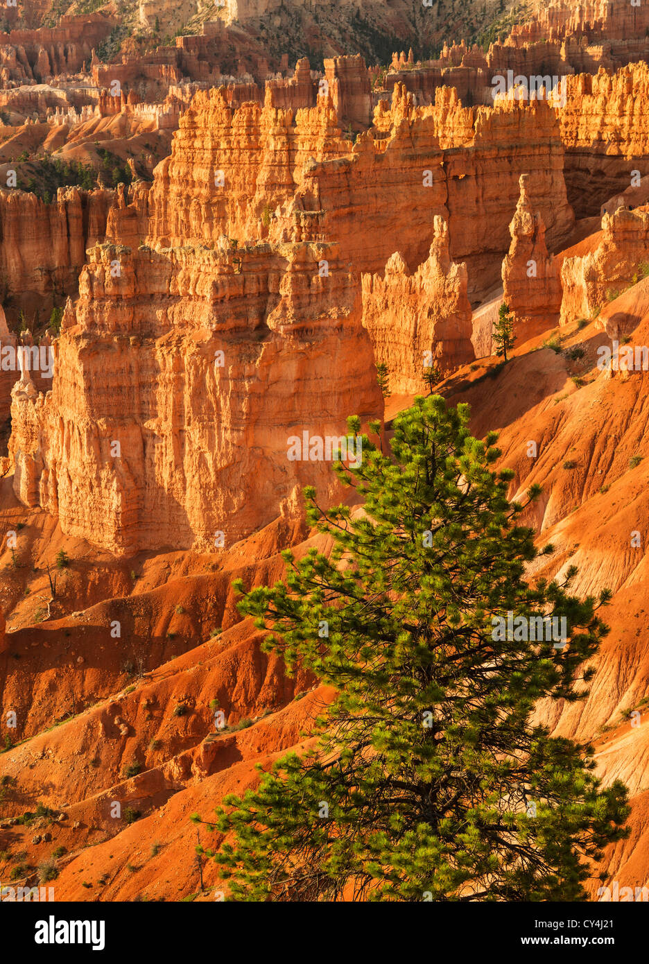 Estados Unidos, Utah, Bryce Canyon, Bryce Anfiteatro Foto de stock