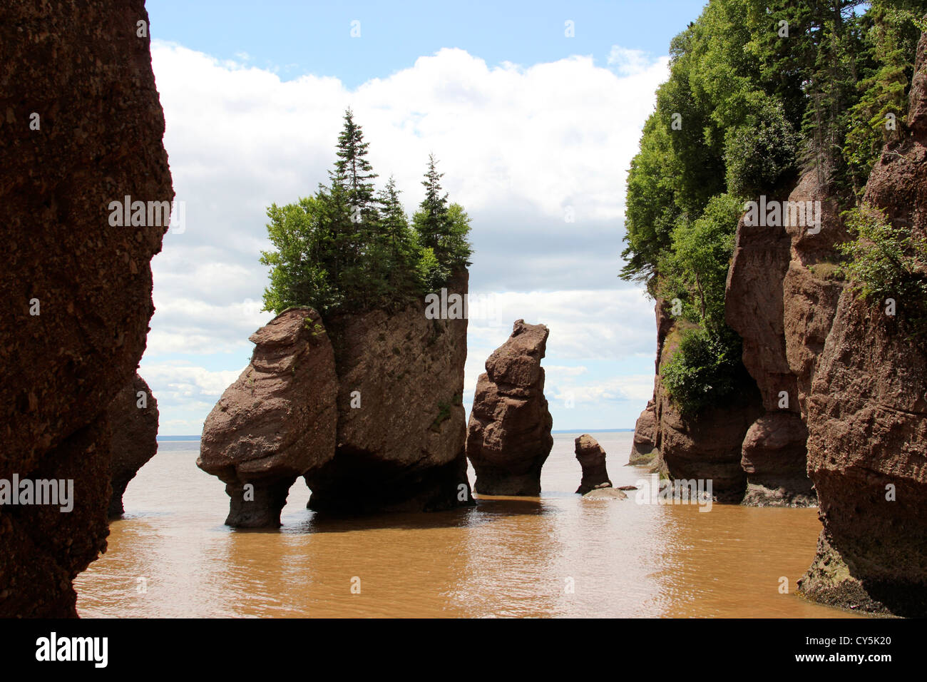 Canadá New Brunswick Costa Atlántica, Bahía de Fundy Río Chocolate