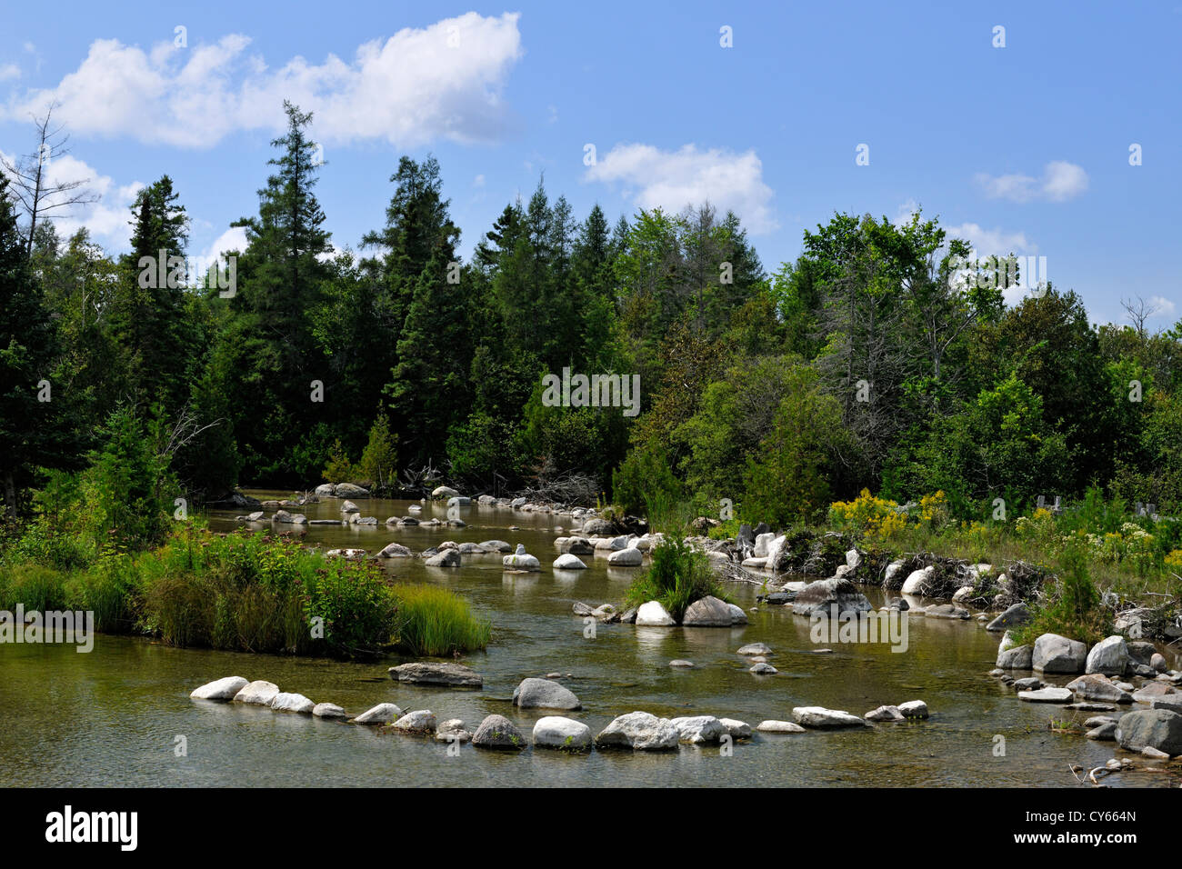 Restaurar el hábitat de truchas en el río Manitou, Isla Manitoulin- Sandfield, Ontario, Canadá Foto de stock