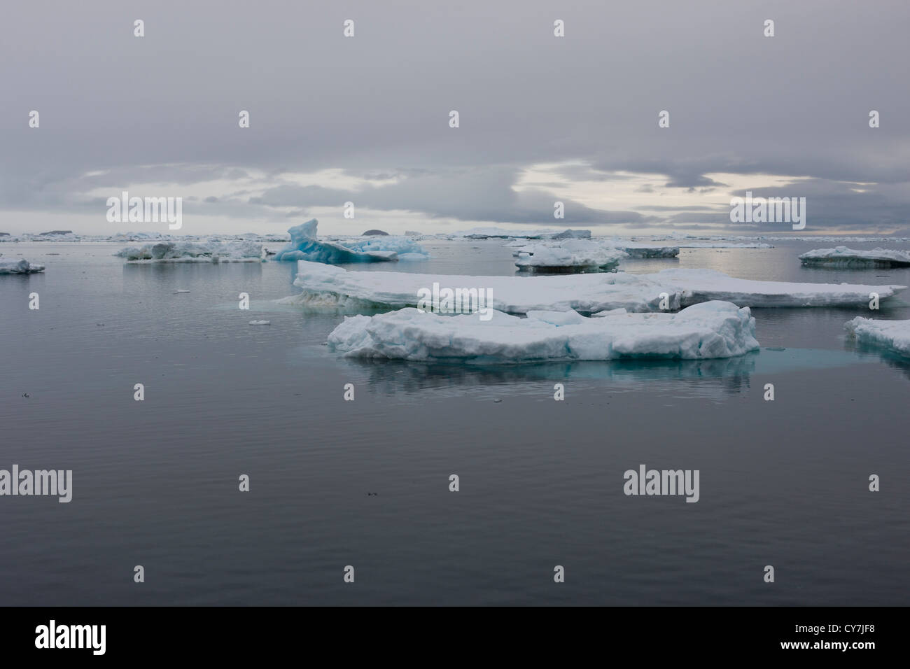 Témpanos de hielo off Isla Paulet, en la Antártida. Foto de stock