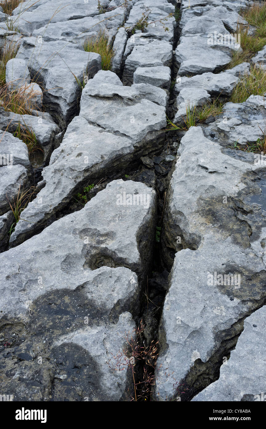 El Burren en el condado de Clare, Irlanda Foto de stock