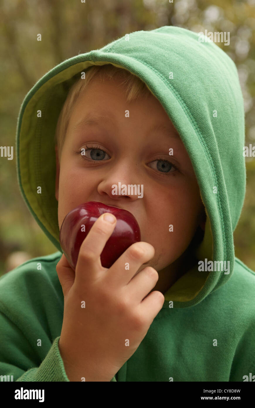 Niño Niño 5-7 años comiendo manzana roja vistiendo sudadera con capucha  Fotografía de stock - Alamy