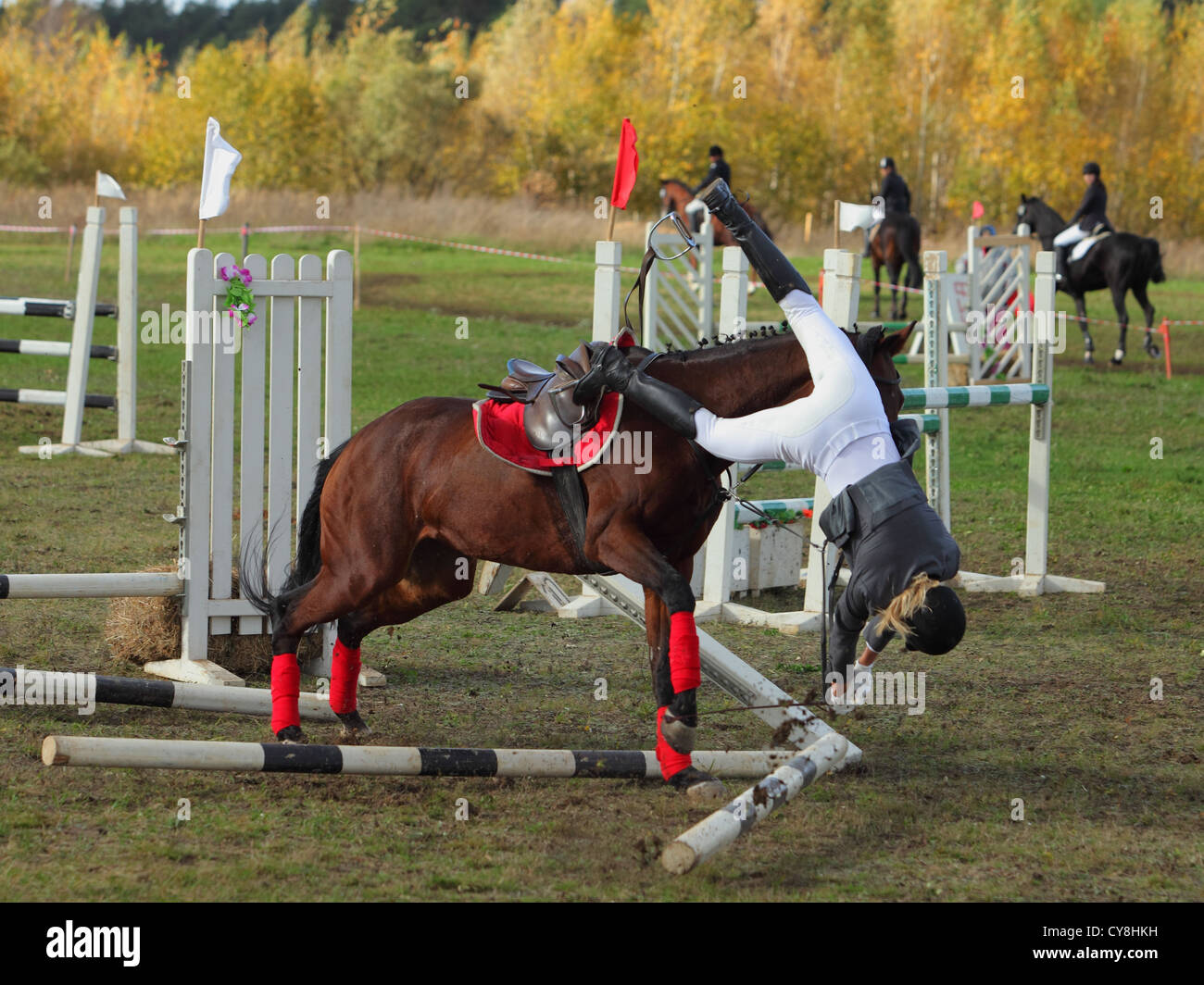 Jockey Com Seu Cavalo Pulando Sobre Um Obstáculo Pulando Sobre O Obstáculo  Na Competição Foto de Stock - Imagem de movimento, equestre: 194863184