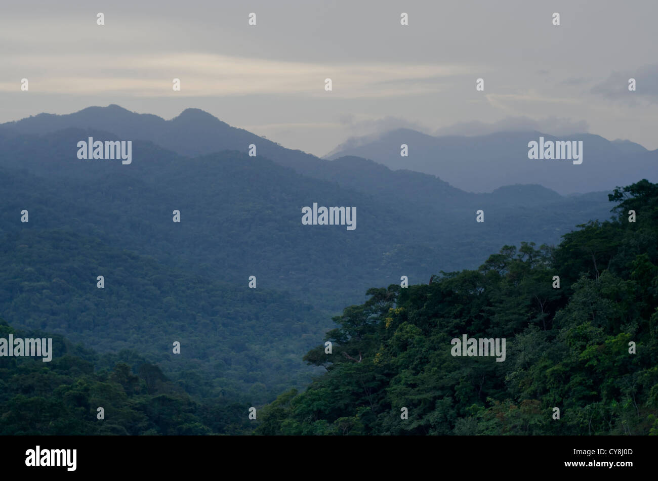 Las colinas alrededor de Guma presa cerca de Freetown, Sierra Leona Foto de stock