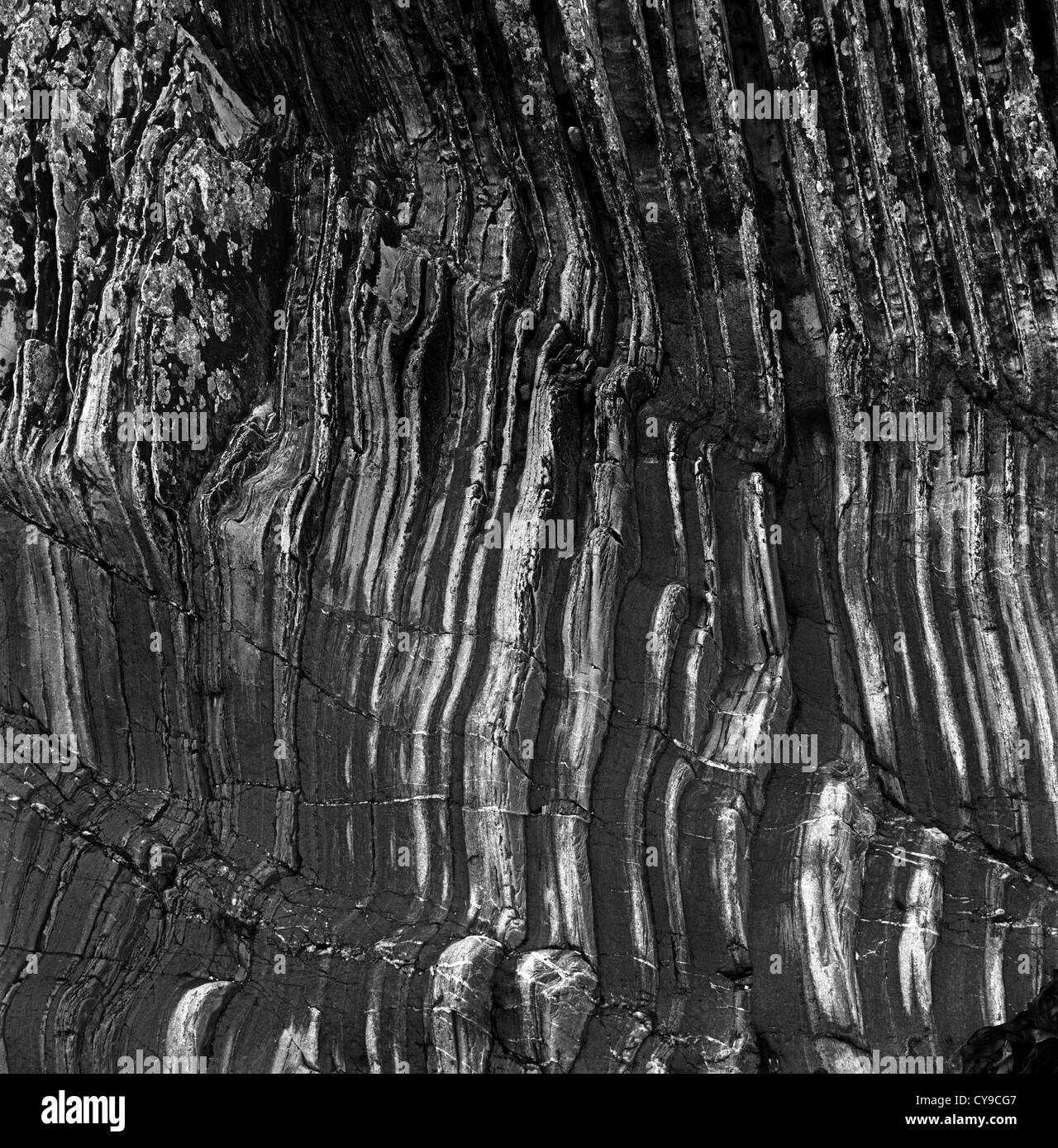 Rocas acanaladas, Kearney, Co Down, Irlanda del Norte Foto de stock