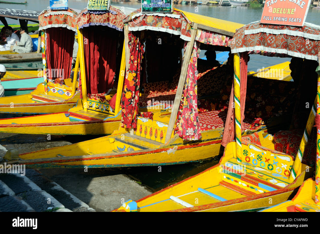 Shikaras amarillo, de madera pequeños barcos taxi de agua, esperar a que los clientes de los bancos de Dal Lago. En Srinagar, Cachemira. La India Foto de stock