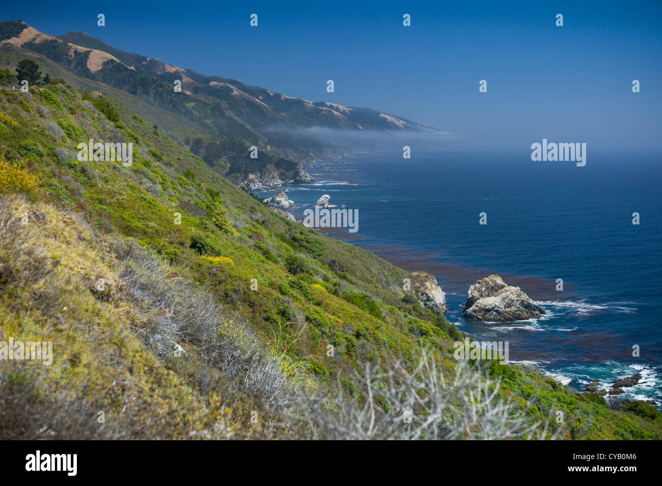 Océano Pacífico visto desde la zona proximal de BIG SUR DE CALIFORNIA Foto de stock