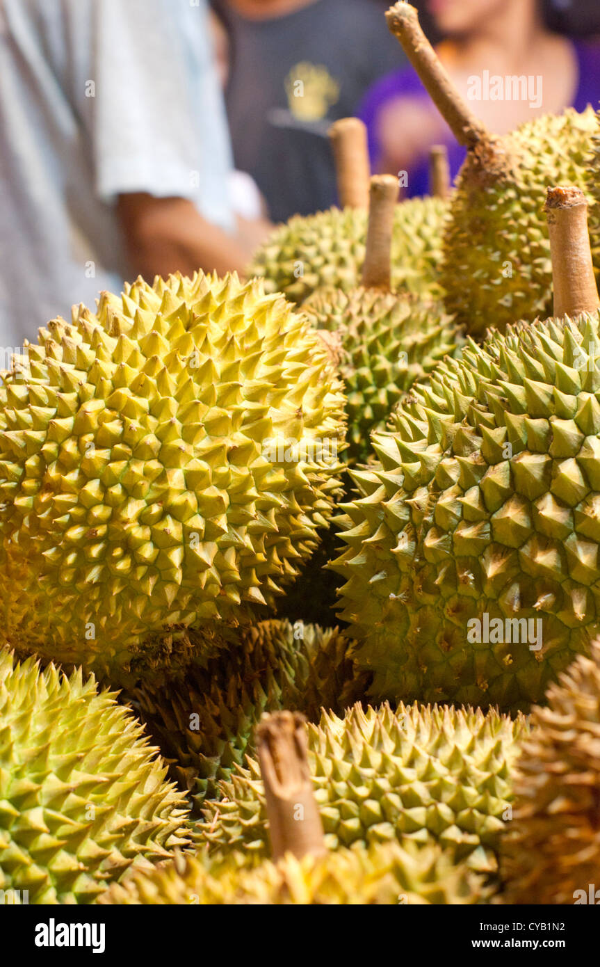 Durian, una exótica fruta tropical que olor fuerte y espinas Fotografía de  stock - Alamy