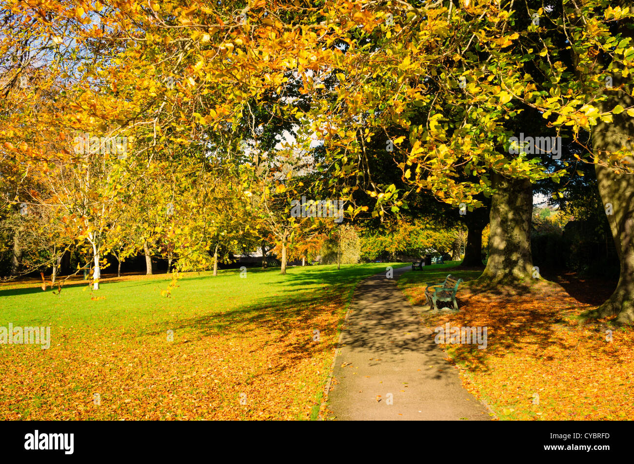 Sendero a través de un parque urbano, Inglaterra, Reino Unido. Foto de stock