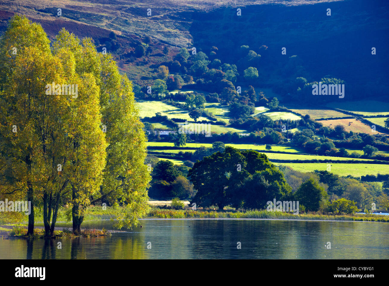 Lago Llangorse, Brecon Beacons, Powys, Gales Foto de stock