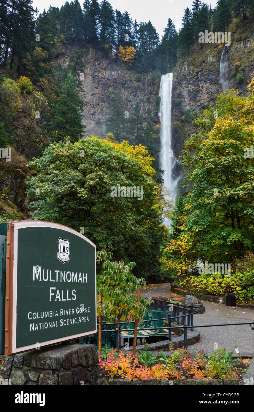 Multnomah Falls, Columbia River Gorge, del Condado de Multnomah, Oregón, EE.UU. Foto de stock