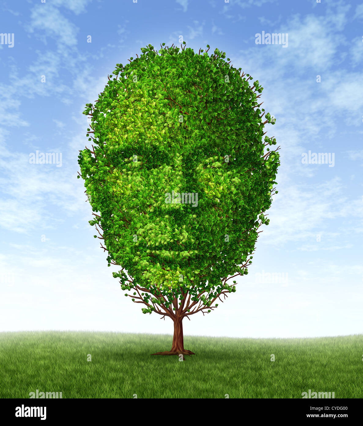 Desarrollo personal y crecimiento de la personalidad como un símbolo de la psicología médica como un árbol en la forma de un frontal cabeza humana como la inteligencia y el pensamiento social de salud del comportamiento mental. Foto de stock