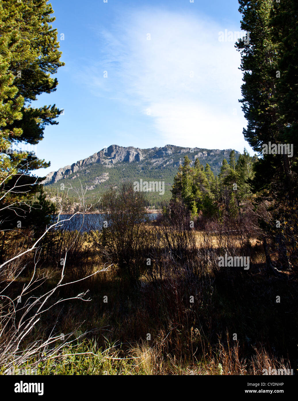 Vistas de las montañas que rodean el lago Lirio encima en Estes Park, Colorado. Foto de stock