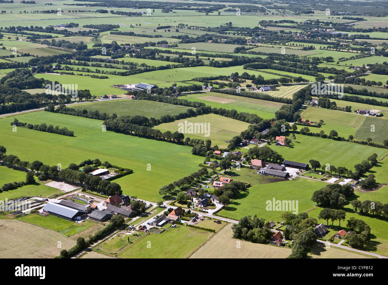 Los Países Bajos, cerca de Steenwijk, granjas y campos de cultivo. Antena. Foto de stock