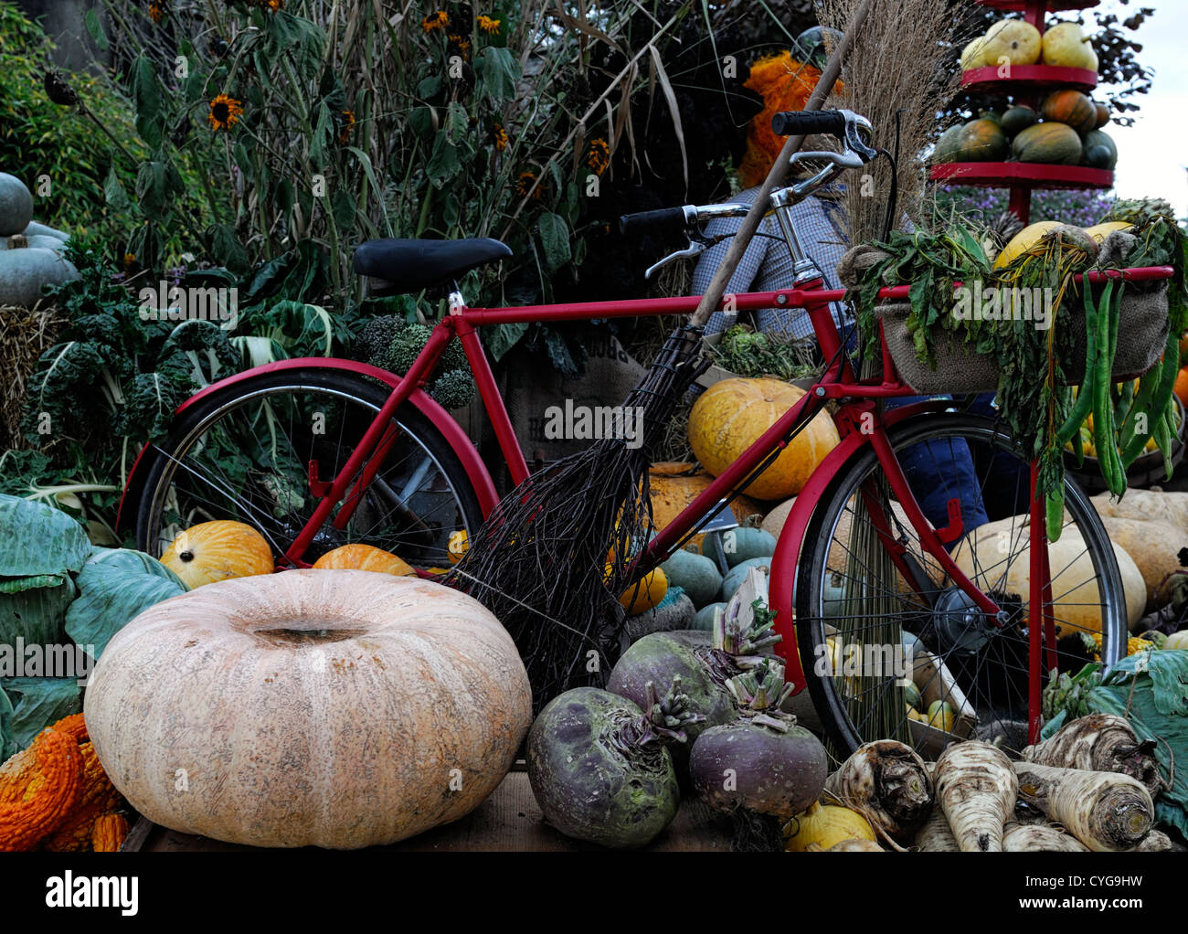 La cosecha de hortalizas de otoño todavía vida otoñal hortalizas cosechadas muestra pantalla arreglos squash zapallos calabaza calabazas Foto de stock