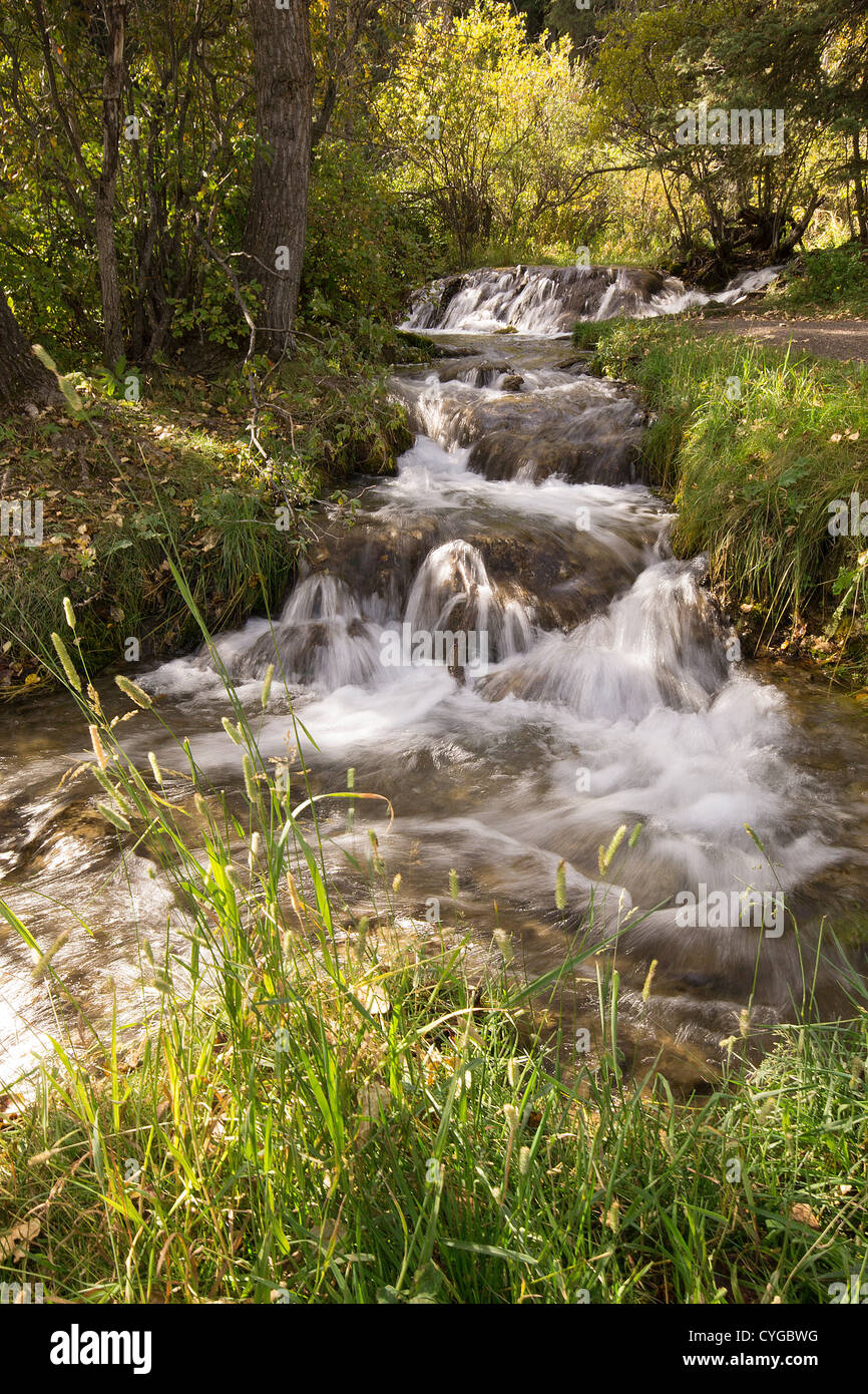 Caída de agua, caída, Blur, impresionante, de densidad natural Foto de stock