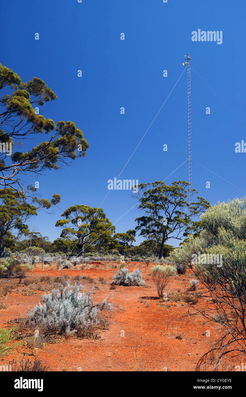 Torre de flujo de intercambio de medición de gases de efecto invernadero en el Great Western Woodlands Supersitio, Credo Estación, Australia Occidental Foto de stock