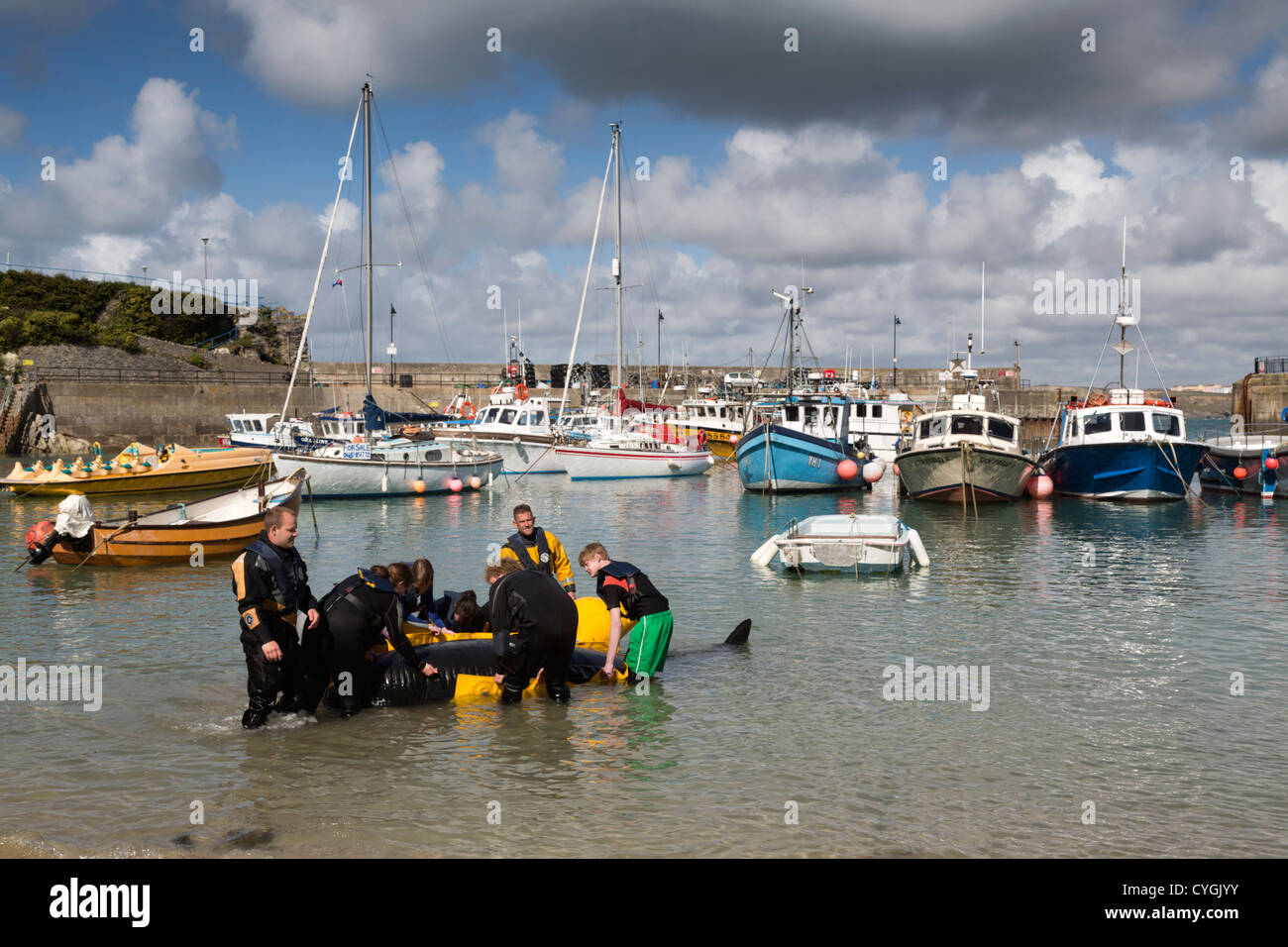 Rescate de cetáceos varados; capacitación; Newquay, Cornwall; Foto de stock