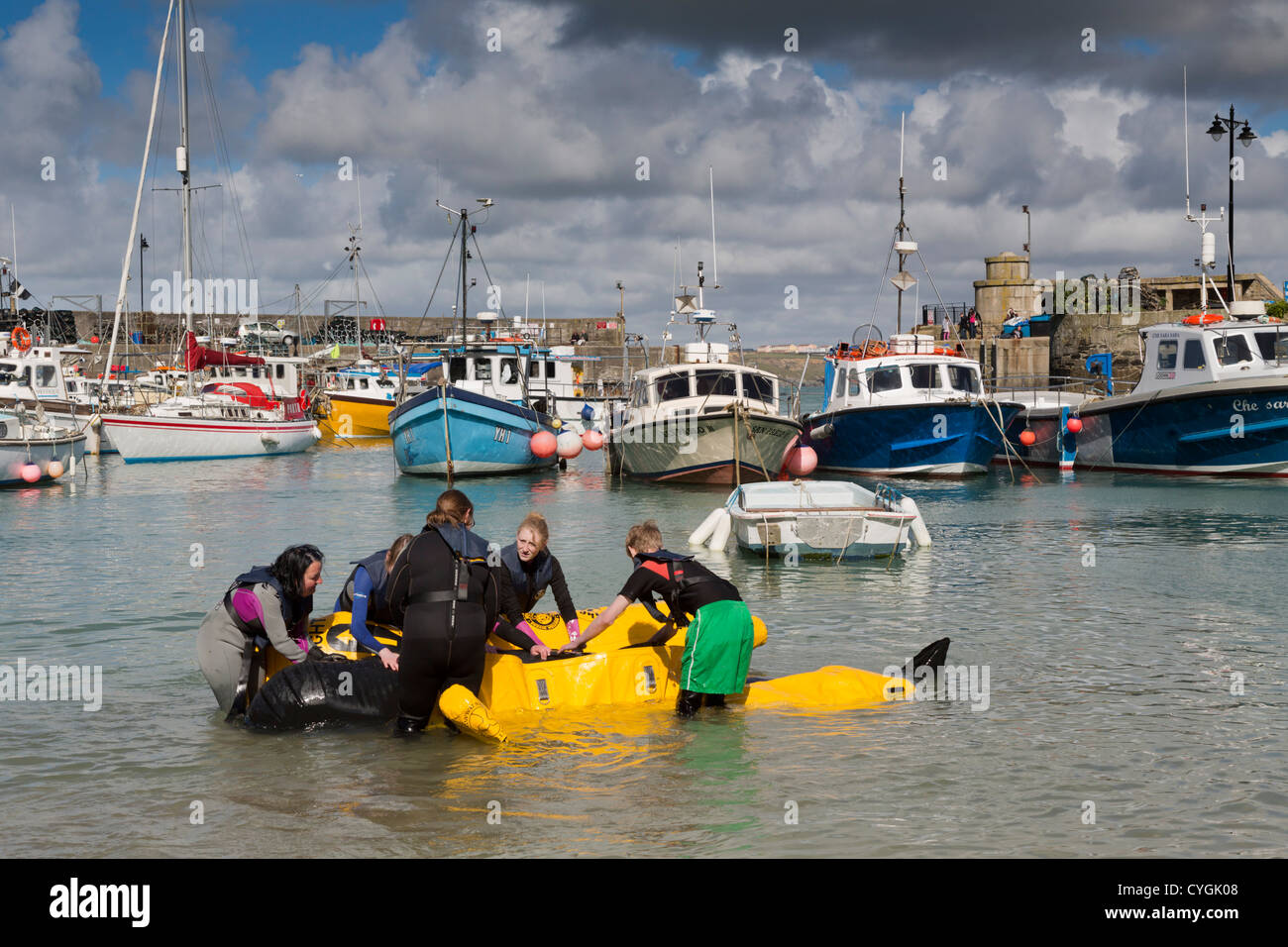 Rescate de cetáceos varados; capacitación; Newquay, Cornwall; Foto de stock