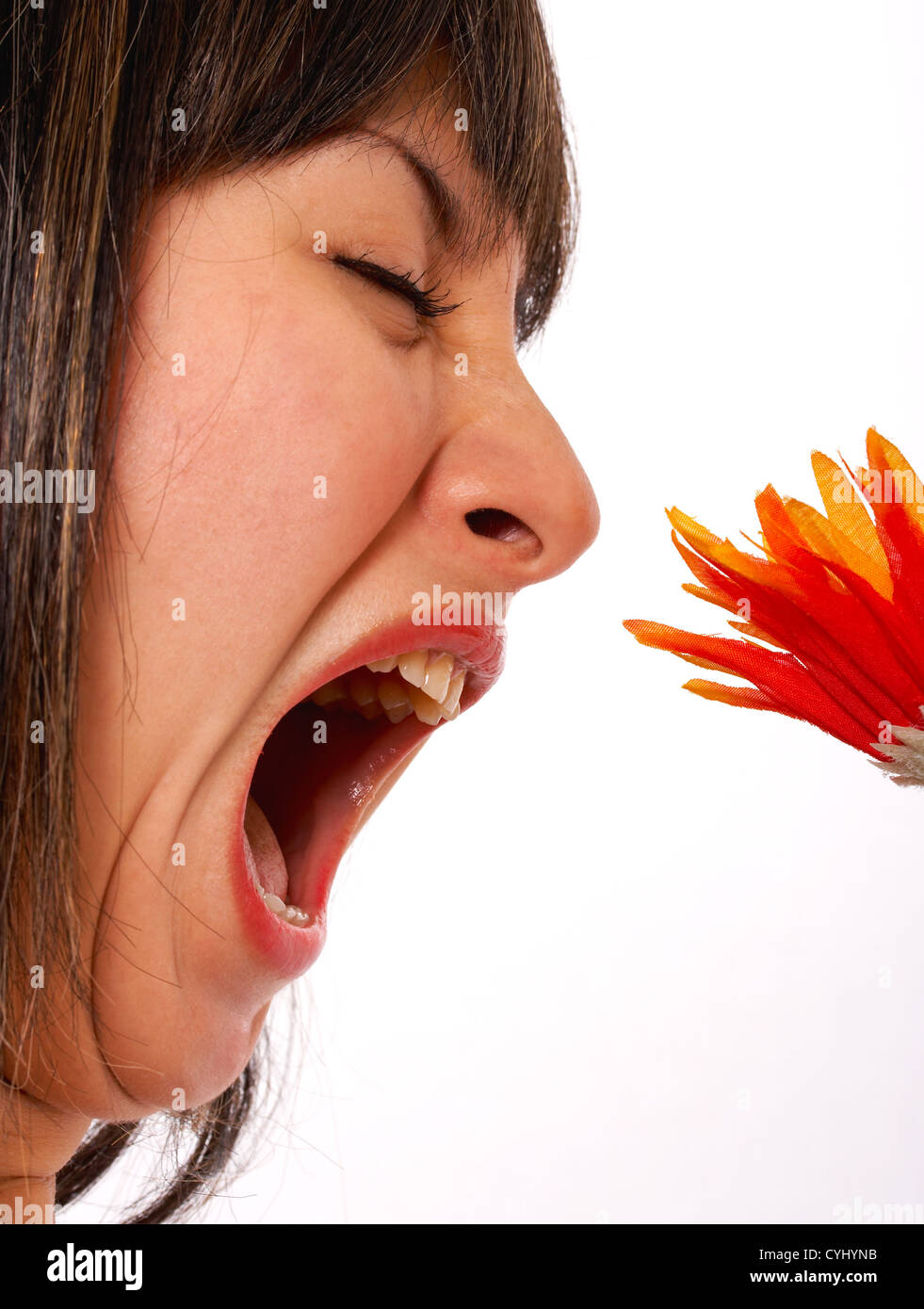 Mujer con fiebre del heno Alergia Flores Foto de stock